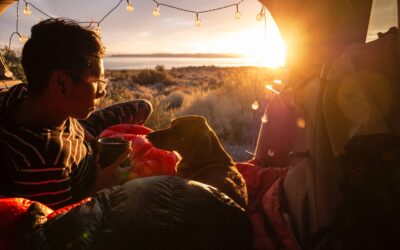Camping with your dog – tips, tricks and must-see spots