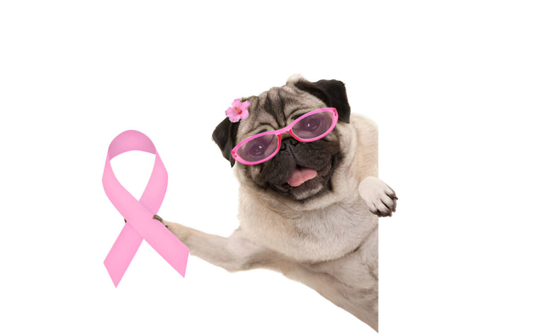 Breast Cancer in Dogs